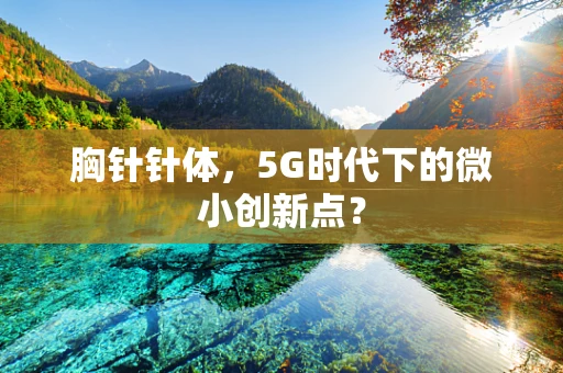 胸针针体，5G时代下的微小创新点？