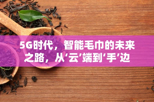 5G时代，智能毛巾的未来之路，从‘云’端到‘手’边