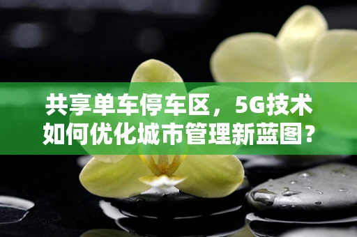 共享单车停车区，5G技术如何优化城市管理新蓝图？