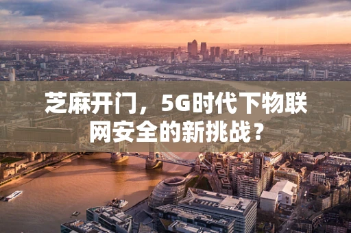 芝麻开门，5G时代下物联网安全的新挑战？