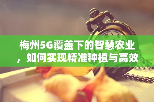 梅州5G覆盖下的智慧农业，如何实现精准种植与高效管理？
