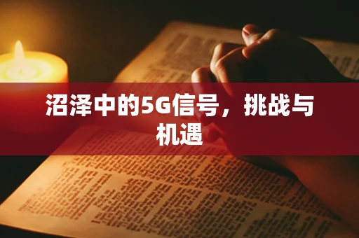 沼泽中的5G信号，挑战与机遇