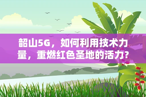 韶山5G，如何利用技术力量，重燃红色圣地的活力？