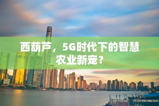 西葫芦，5G时代下的智慧农业新宠？