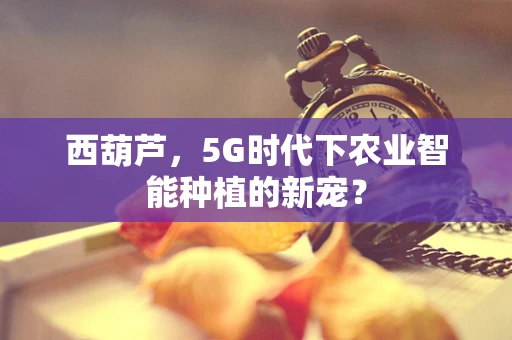 西葫芦，5G时代下农业智能种植的新宠？