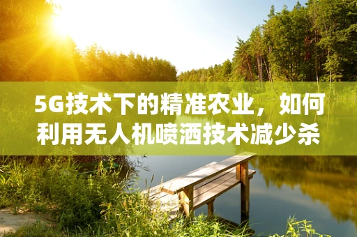 5G技术下的精准农业，如何利用无人机喷洒技术减少杀虫剂滥用？