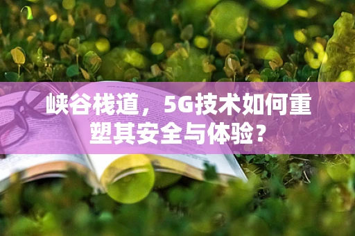 峡谷栈道，5G技术如何重塑其安全与体验？
