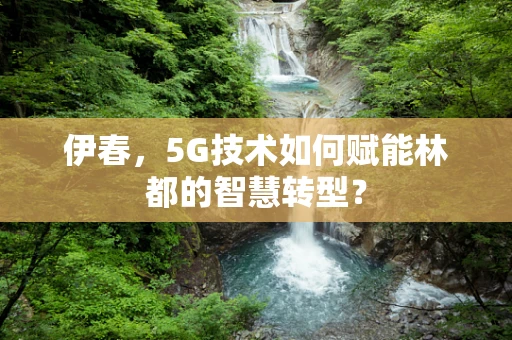 伊春，5G技术如何赋能林都的智慧转型？
