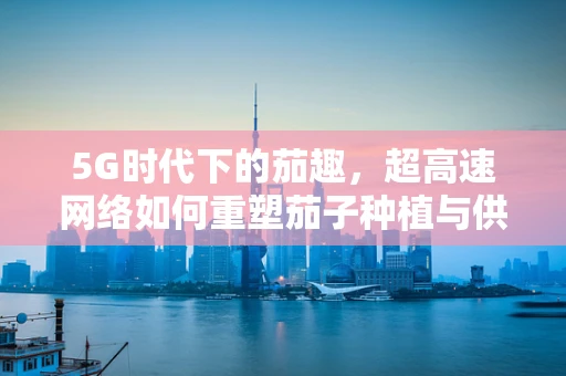 5G时代下的茄趣，超高速网络如何重塑茄子种植与供应链？