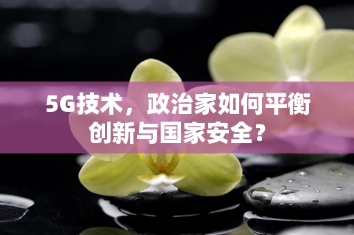 5G技术，政治家如何平衡创新与国家安全？