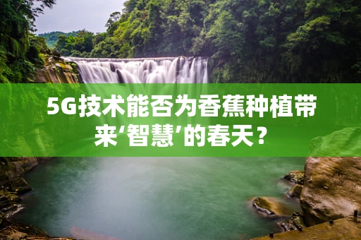 5G技术能否为香蕉种植带来‘智慧’的春天？