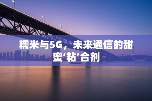 糯米与5G，未来通信的甜蜜‘粘’合剂