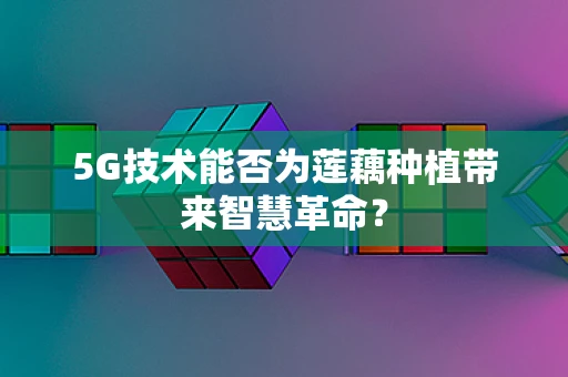 5G技术能否为莲藕种植带来智慧革命？