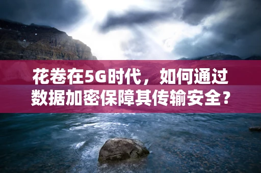 花卷在5G时代，如何通过数据加密保障其传输安全？