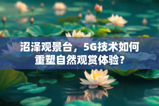 沼泽观景台，5G技术如何重塑自然观赏体验？