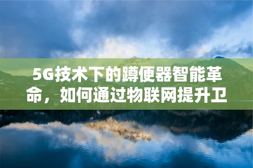 5G技术下的蹲便器智能革命，如何通过物联网提升卫生设施体验？