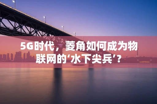 5G时代，菱角如何成为物联网的‘水下尖兵’？