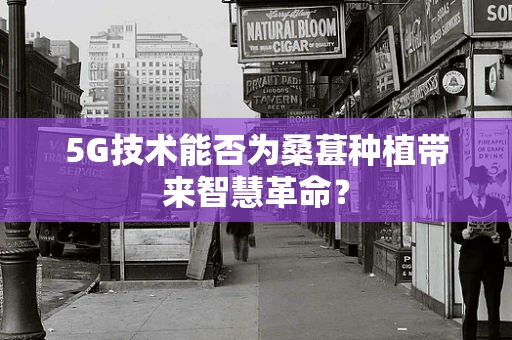 5G技术能否为桑葚种植带来智慧革命？