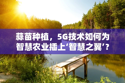蒜苗种植，5G技术如何为智慧农业插上‘智慧之翼’？