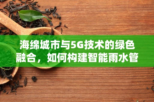 海绵城市与5G技术的绿色融合，如何构建智能雨水管理系统？