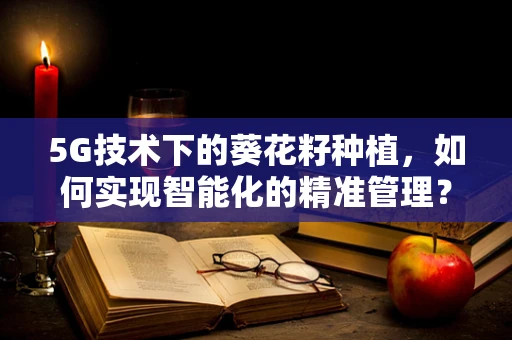 5G技术下的葵花籽种植，如何实现智能化的精准管理？