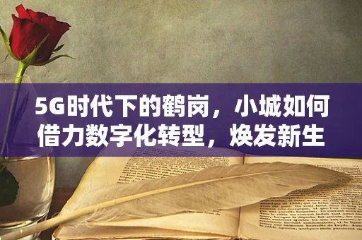 5G时代下的鹤岗，小城如何借力数字化转型，焕发新生？