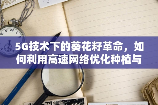 5G技术下的葵花籽革命，如何利用高速网络优化种植与销售？