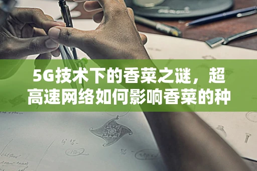 5G技术下的香菜之谜，超高速网络如何影响香菜的种植与传播？
