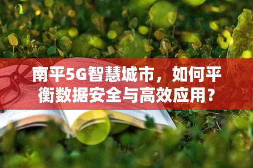 南平5G智慧城市，如何平衡数据安全与高效应用？