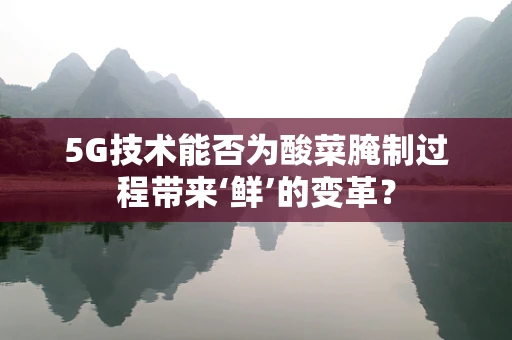 5G技术能否为酸菜腌制过程带来‘鲜’的变革？