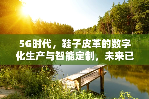 5G时代，鞋子皮革的数字化生产与智能定制，未来已来，触手可及？