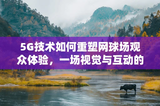 5G技术如何重塑网球场观众体验，一场视觉与互动的盛宴？