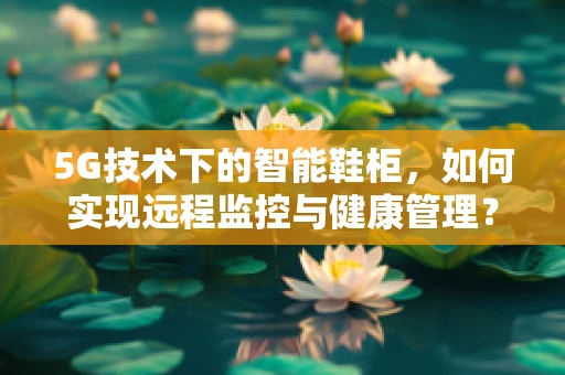 5G技术下的智能鞋柜，如何实现远程监控与健康管理？