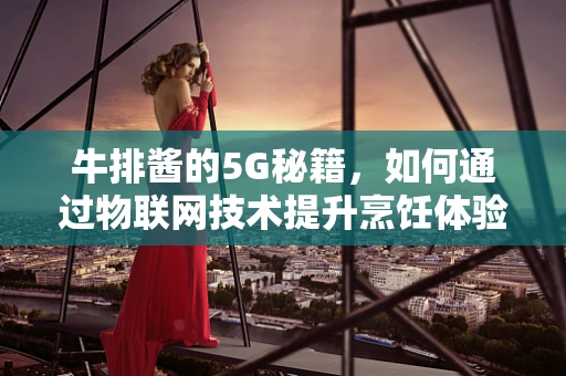 牛排酱的5G秘籍，如何通过物联网技术提升烹饪体验？