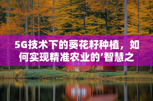 5G技术下的葵花籽种植，如何实现精准农业的‘智慧之选’？