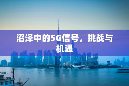 沼泽中的5G信号，挑战与机遇