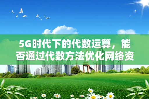 5G时代下的代数运算，能否通过代数方法优化网络资源分配？