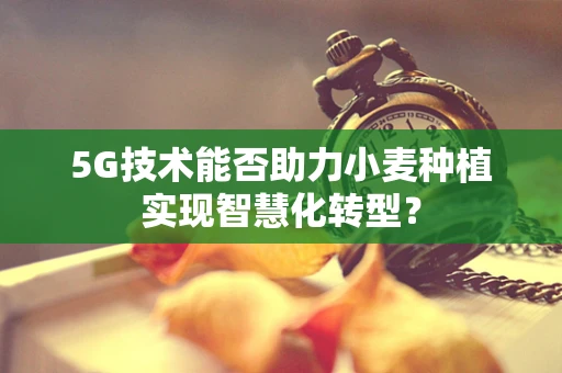 5G技术能否助力小麦种植实现智慧化转型？