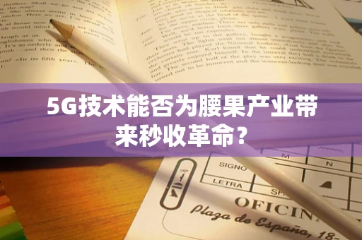 5G技术能否为腰果产业带来秒收革命？