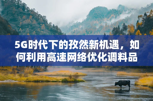 5G时代下的孜然新机遇，如何利用高速网络优化调料品供应链？