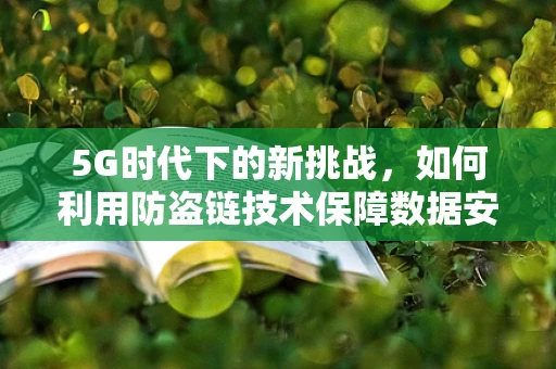 5G时代下的新挑战，如何利用防盗链技术保障数据安全？