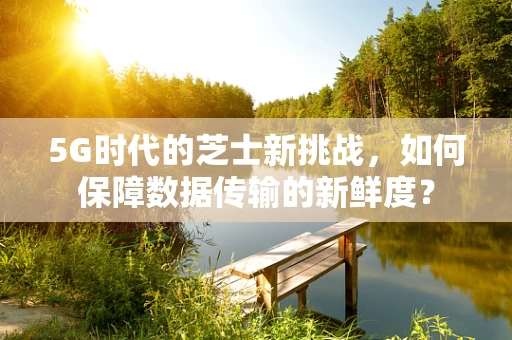 5G时代的芝士新挑战，如何保障数据传输的新鲜度？