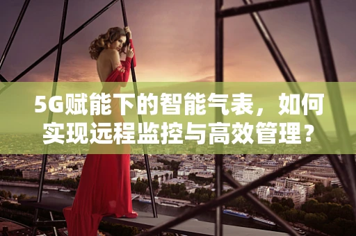 5G赋能下的智能气表，如何实现远程监控与高效管理？