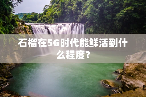 石榴在5G时代能鲜活到什么程度？