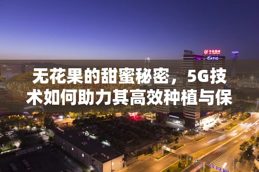 无花果的甜蜜秘密，5G技术如何助力其高效种植与保鲜？