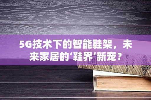 5G技术下的智能鞋架，未来家居的‘鞋界’新宠？