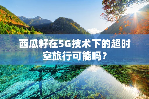 西瓜籽在5G技术下的超时空旅行可能吗？