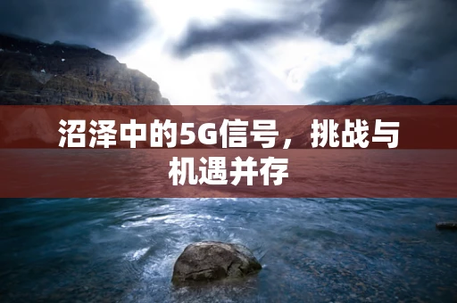 沼泽中的5G信号，挑战与机遇并存