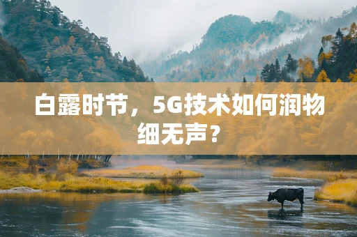白露时节，5G技术如何润物细无声？