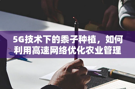 5G技术下的黍子种植，如何利用高速网络优化农业管理？